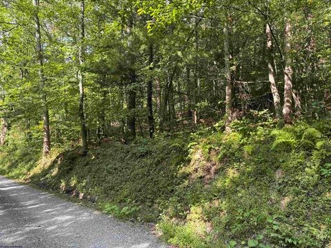 Photo of TBD Joe Gibson Road, Newburg, WV 26542 (MLS # 10161257)