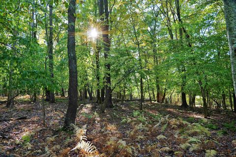 Photo of 00 E ALPINE Drive, Terra Alta, WV 26764 (MLS # 10156517)