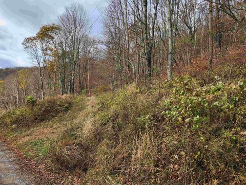 Photo of 20 E Meadows Road, Harman, WV 26270 (MLS # 10162193)