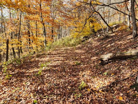 Photo of 20 E Meadows Road, Harman, WV 26270 (MLS # 10162193)