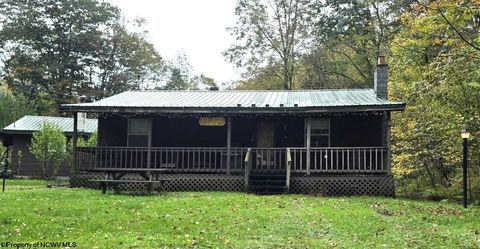 Photo of 38 Black Bear Lane, Dryfork, WV 26263 (MLS # 10163025)