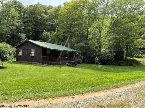 Photo of 38 Black Bear Lane, Dryfork, WV 26263 (MLS # 10163025)