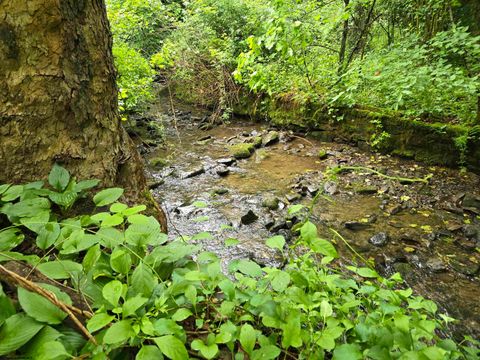 Photo of 136 Birch Hollow Road, Morgantown, WV 26508 (MLS # 10164998)