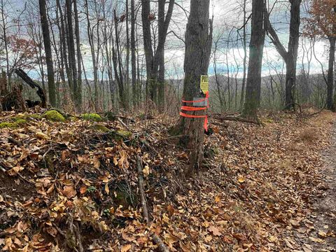 Photo of 000 Crawford Road, Crawford, WV 26343 (MLS # 10162543)