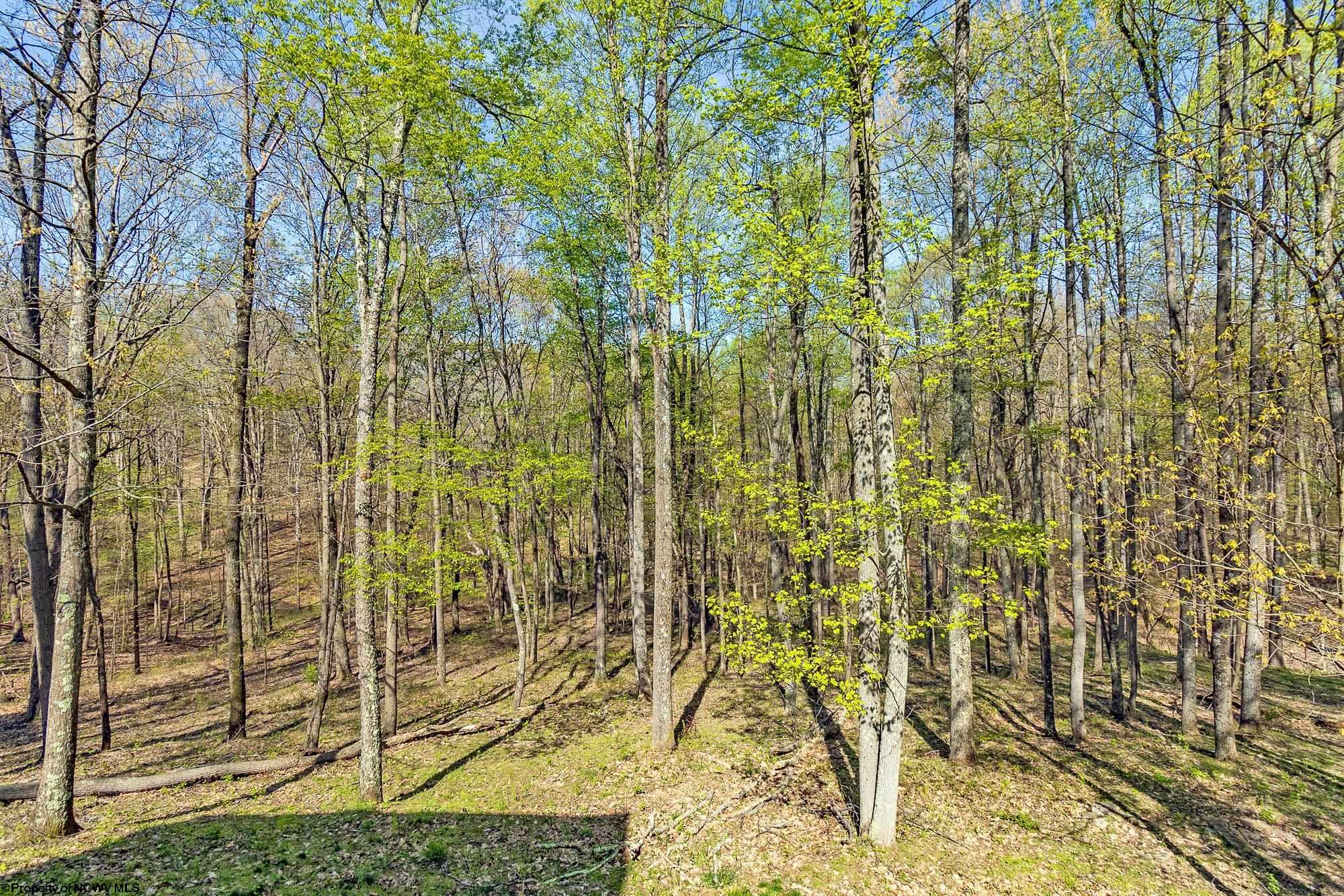 Grafton, West Virginia 26354, United States, 3 Bedrooms Bedrooms, ,3 BathroomsBathrooms,Residential,Pending,58872