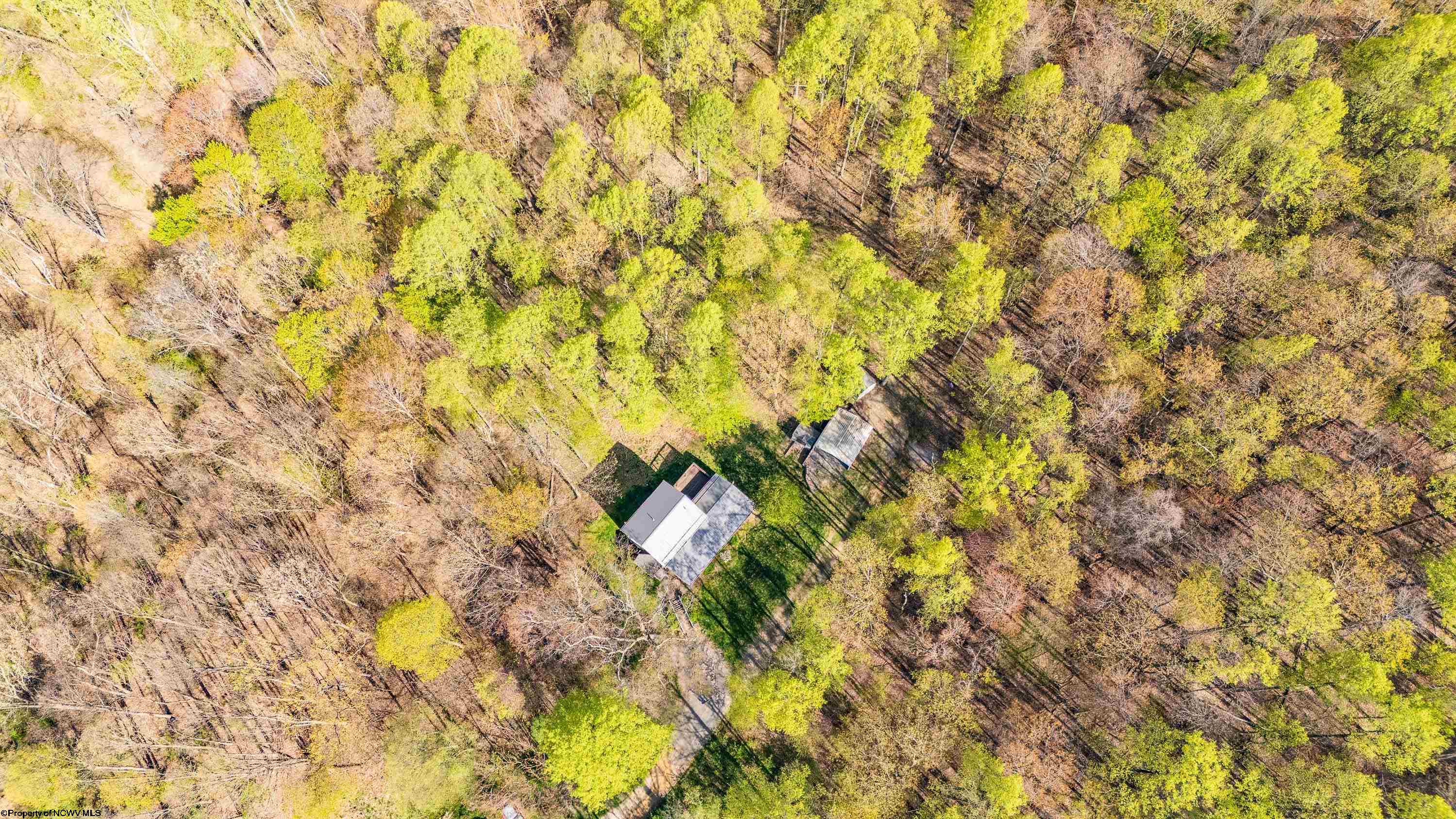 Grafton, West Virginia 26354, United States, 3 Bedrooms Bedrooms, ,3 BathroomsBathrooms,Residential,Pending,58872