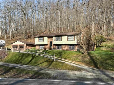Photo of 344 Harpertown Road, Elkins, WV 26241 (MLS # 10163490)