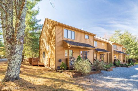 Photo of 448 Deerfield Circle, Davis, WV 26260 (MLS # 10161859)