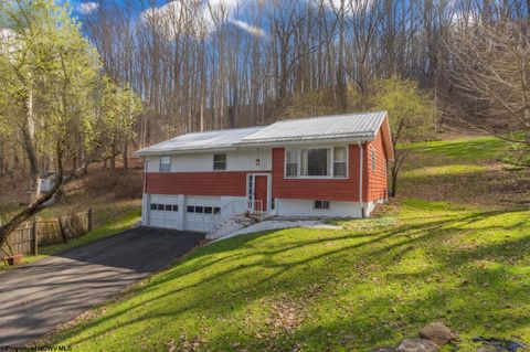 Photo of 161 Hilltop Drive, Philippi, WV 26416 (MLS # 10164085)