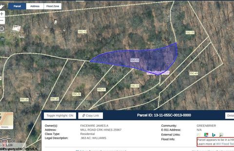 Photo of TBD Mill Creek Road, Charmco, WV 25958 (MLS # 10156082)