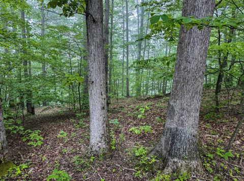 Photo of Lot 1 Shortline Highway, Porters Falls, WV 26162 (MLS # 10164035)