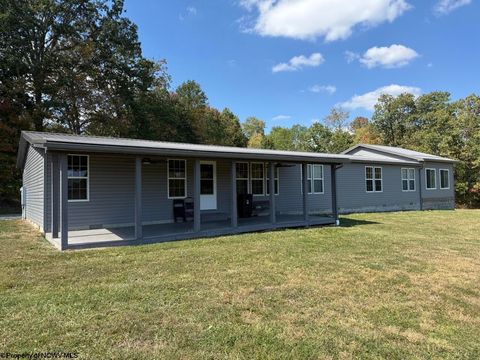 Photo of 1125 Goff School Road, Belington, WV 26250 (MLS # 10161629)