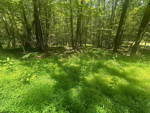 Photo of 134 Windflower Drive, Terra Alta, WV 26766 (MLS # 10160718)