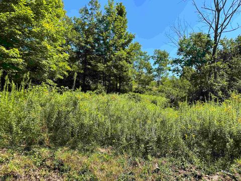 Photo of Lot 8 Alpenglow Ridge Drive, Dryfork, WV 26260 (MLS # 10151095)