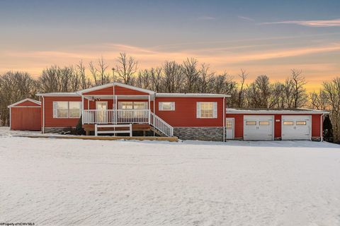 Photo of 1010 Furfin Road, Bruceton Mills, WV 26525 (MLS # 10163179)