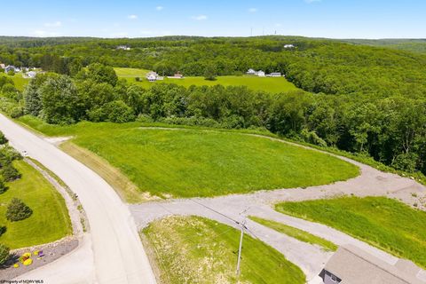 Photo of TBD Laurel Run Pisgah Road, Bruceton Mills, WV 26525 (MLS # 10165430)