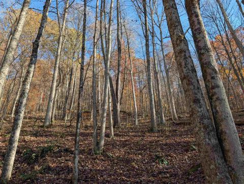 Photo of TBD Brush Run, Mannington, WV 26582 (MLS # 10162382)
