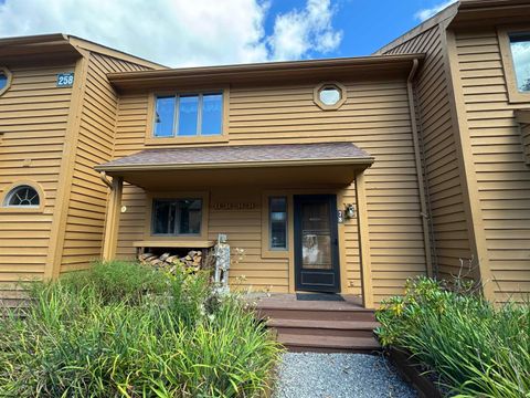 Photo of 78 Deerfield Circle, Davis, WV 26260 (MLS # 10161244)