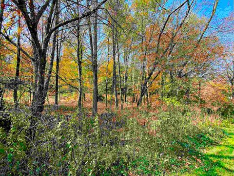 Photo of Lot 3 Blizzards Gate Road, Harman, WV 26270 (MLS # 10156846)