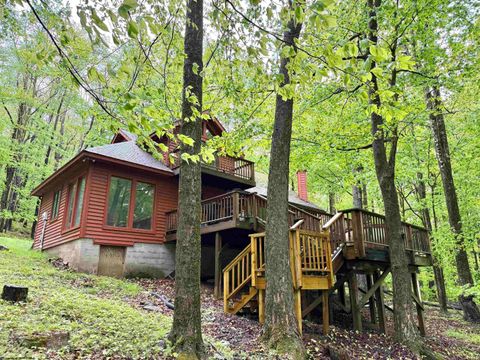 Photo of 785 Ridge Road, Davis, WV 26260 (MLS # 10165019)