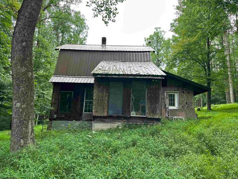 Photo of 1254 Wolf Run, Philippi, WV 26416 (MLS # 10160920)