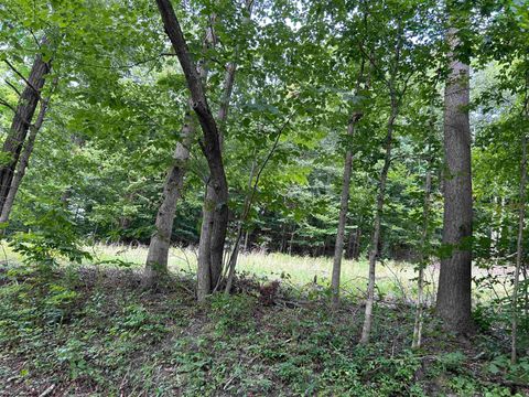 Photo of Lot 4 East Run Circle, Four States, WV 26572 (MLS # 10155722)