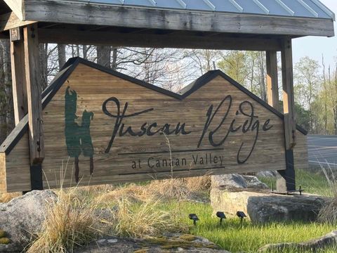 Photo of Lot 80 Gondola Court, Davis, WV 26260 (MLS # 10164470)