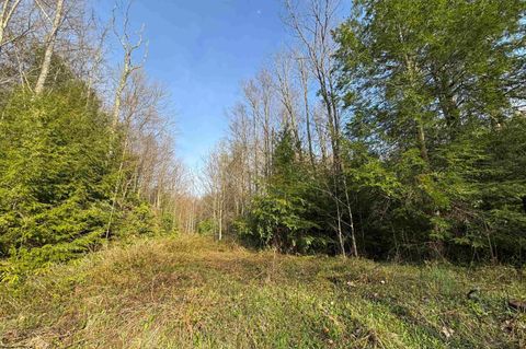 Photo of Lot 80 Gondola Court, Davis, WV 26260 (MLS # 10164470)