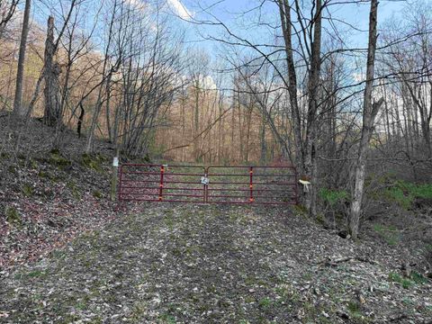 Photo of TBD Wash Run Road, Volga, WV 26238 (MLS # 10164043)