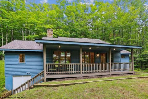 Photo of 626 Sand Run Road, Davis, WV 26260 (MLS # 10166311)
