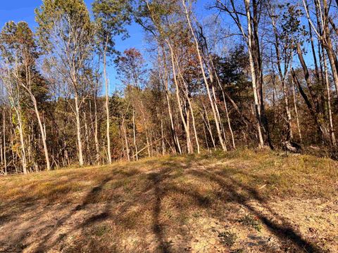 Photo of Lot 11 Island Road, Junior, WV 26275 (MLS # 10161998)