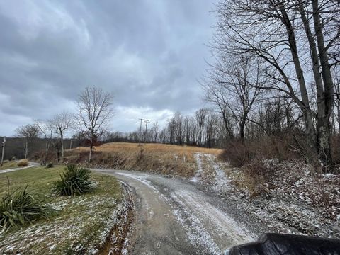 Photo of Upper Childers Run, Buckhannon, WV 26201 (MLS # 10147447)