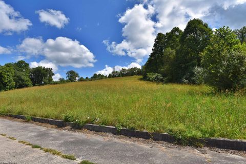 Photo of Lot 48 Birch Street, Grafton, WV 26354 (MLS # 10164516)