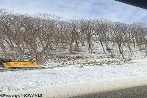 Photo of 2511 Chenoweth Creek Road, Elkins, WV 26241 (MLS # 10163103)