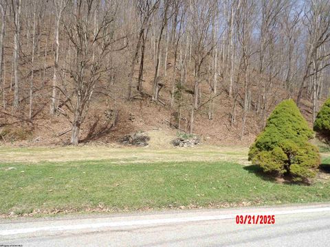 Photo of 2511 Chenoweth Creek Road, Elkins, WV 26241 (MLS # 10163103)