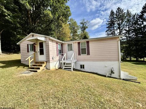 Photo of 133 Sisler Street, Kingwood, WV 26537 (MLS # 10161596)