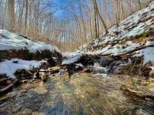 ADDRESS PRIVATE, HUTTONSVILLE, WV 26273 - Image b034df690c137e2bf913d7abe03597eb/4090307325