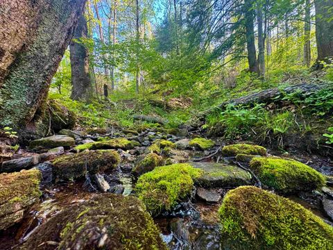 Photo of Tract A John Orr/Sand Plant Road, Independence, WV 26374 (MLS # 10165046)