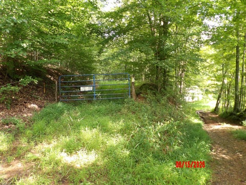 Photo of 941 Sammy Run, Crawford, WV 26447 (MLS # 10166466)