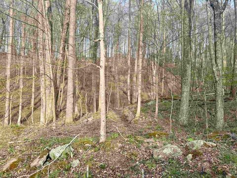 Photo of Lot 23 & 23A Serence Drive, Grafton, WV 26354 (MLS # 10164300)