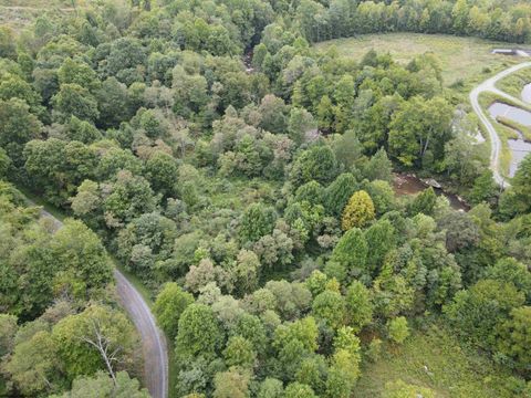 Photo of LOT A Jettsville Road, Fenwick, WV 26202 (MLS # 10162877)