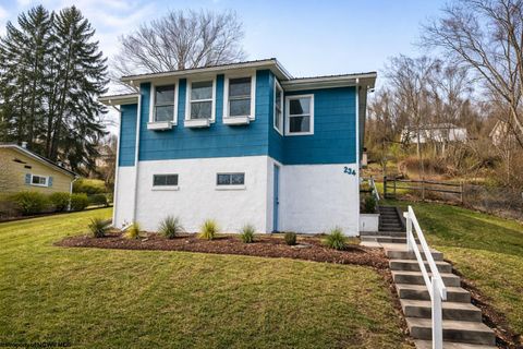 Photo of 234 Chestnut Street, Fairmont, WV 26554 (MLS # 10163376)
