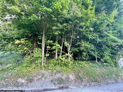 Photo of Parcel 312 Lorentz Avenue, Morgantown, WV 26505 (MLS # 10156516)