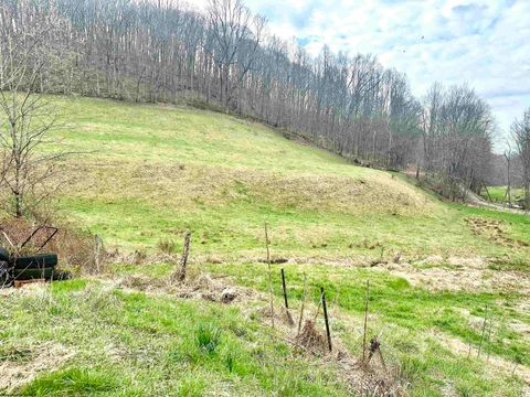Photo of 496 Dillon Hollow Road, Jane Lew, WV 26378 (MLS # 10163995)