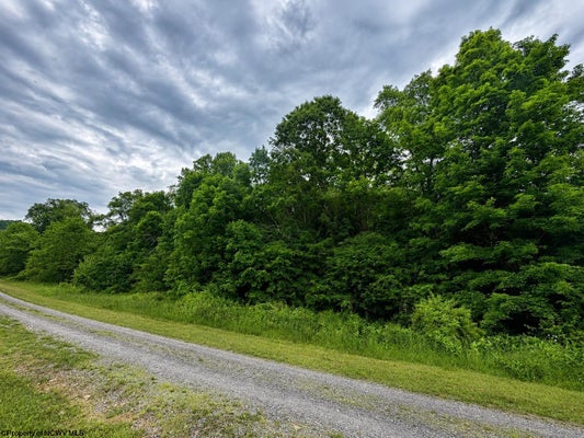 10 IRON HORSE DR, ELKINS, WV 26241 - Image b76d09add8e80db7edbc4bf644865cde/1618751514