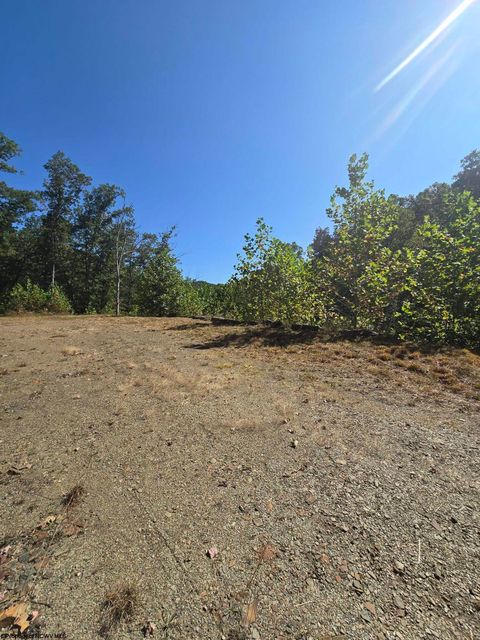 Photo of Lot 28 Woodland Drive, Beverly, WV 26253 (MLS # 10161240)