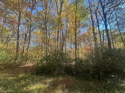 Photo of TBD Redwood Drive, Terra Alta, WV 26764 (MLS # 10162047)