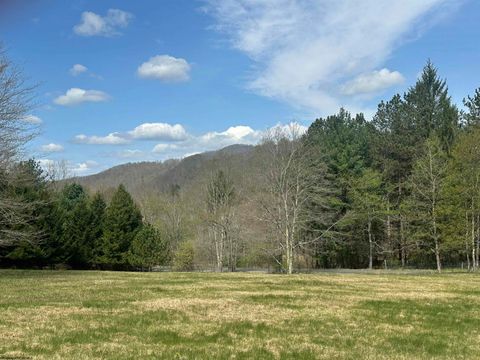 Photo of Lot 1 Bonner Mountain Road, Red Creek, WV 26263 (MLS # 10164322)
