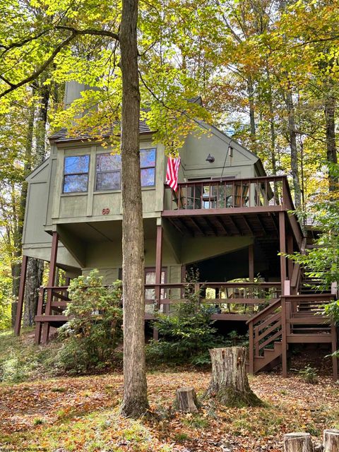 Photo of 117 Hibernation Way Unit 69, Davis, WV 26260 (MLS # 10161593)