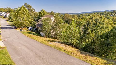 Photo of 315 March Lane, Morgantown, WV 26508 (MLS # 10156241)